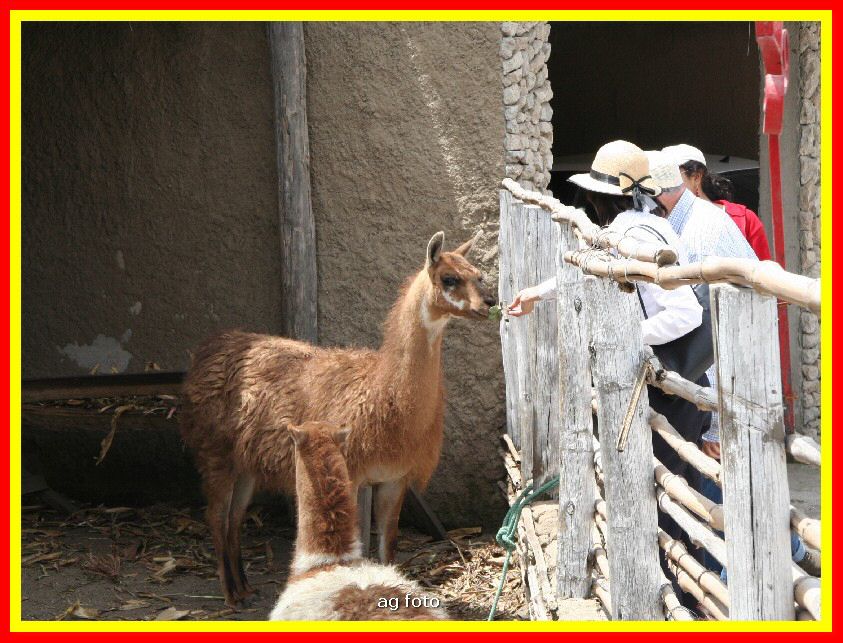 Ecuador 168_tn.jpg